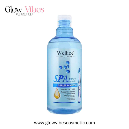 Wellice Professional Spa Pro-V